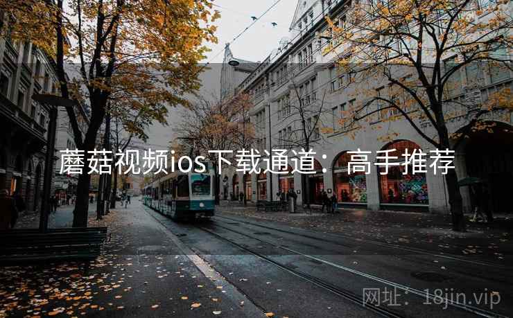 蘑菇视频ios下载通道：高手推荐