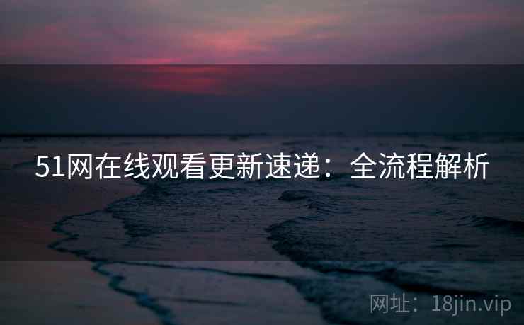 51网在线观看更新速递:全流程解析 51网在线观看更新速递:全流程解析