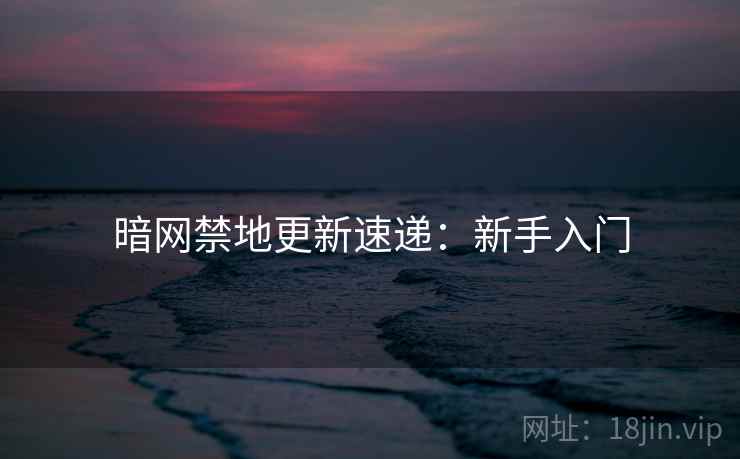 暗网禁地更新速递：新手入门