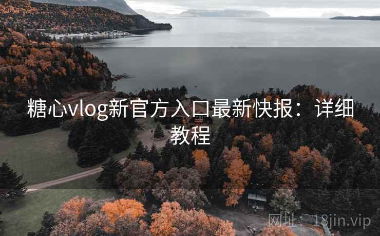 糖心vlog新官方入口最新快报：详细教程