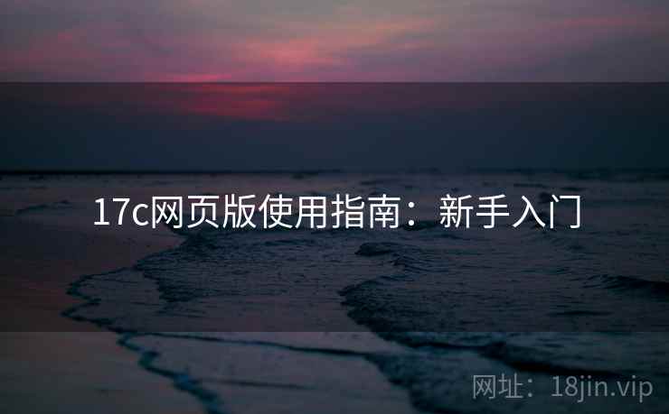 17c网页版使用指南：新手入门